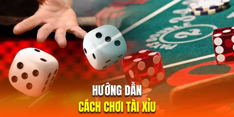 Cách chơi tài xỉu chuẩn quy luật mới nhất