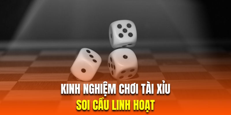 Hướng dẫn cách chơi tài xỉu bằng phương pháp soi cầu thật linh hoạt